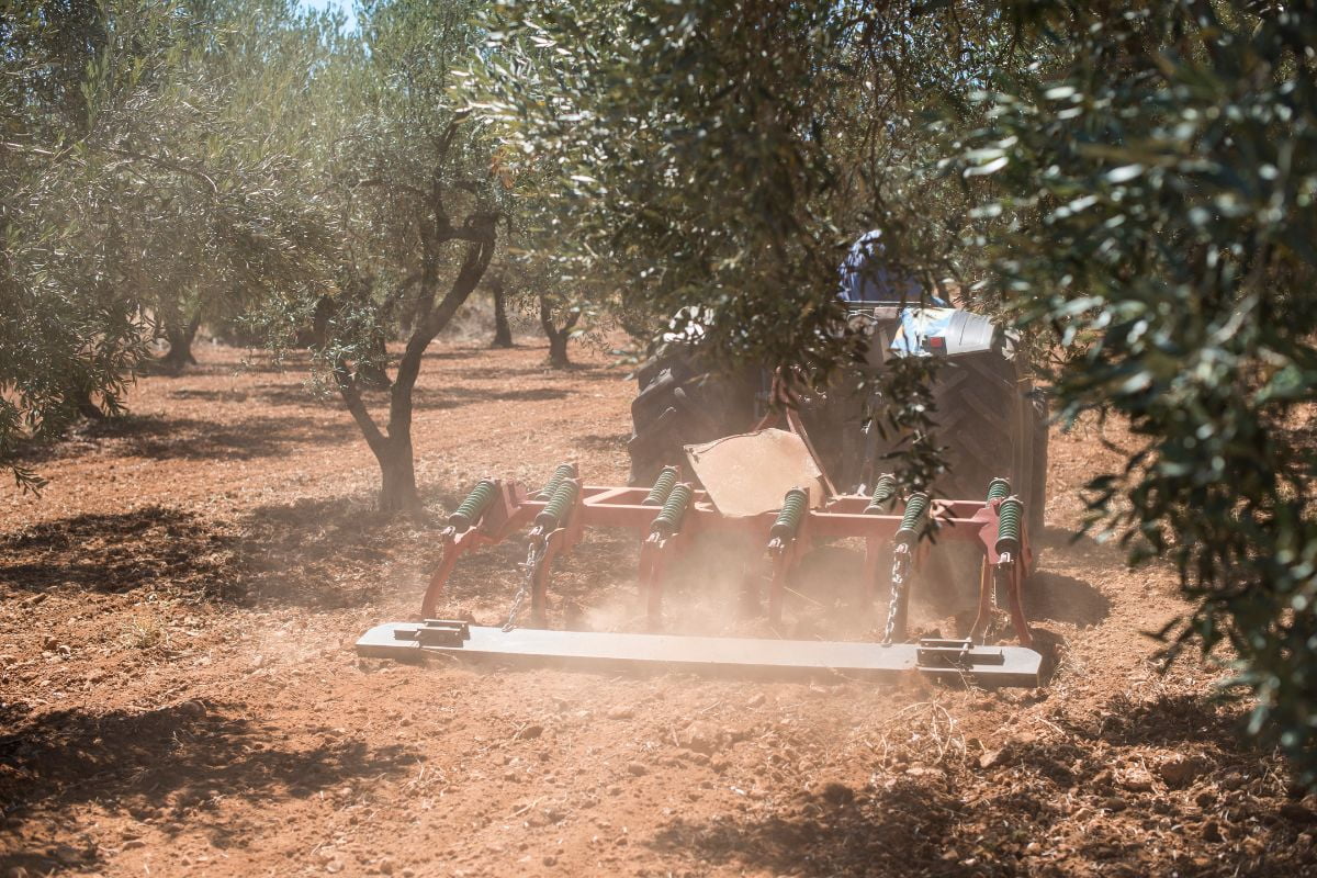 Maquinaria para arboricultura: tipos de máquinas para el cultivo de árboles como olivos y frutales